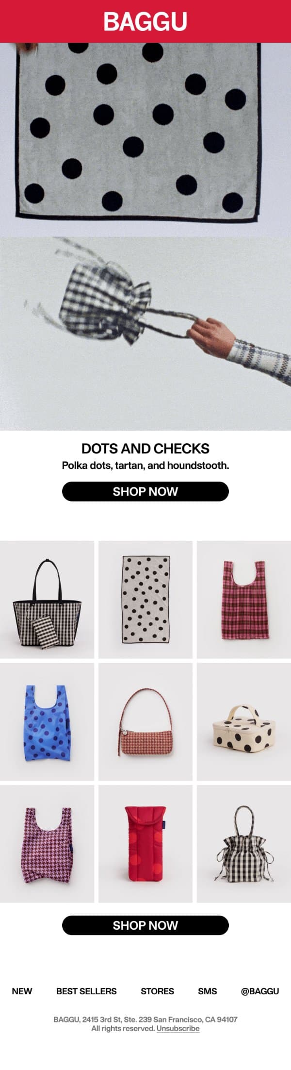 Polka Dots, Tartan, and Houndstooth email from Baggu screenshot