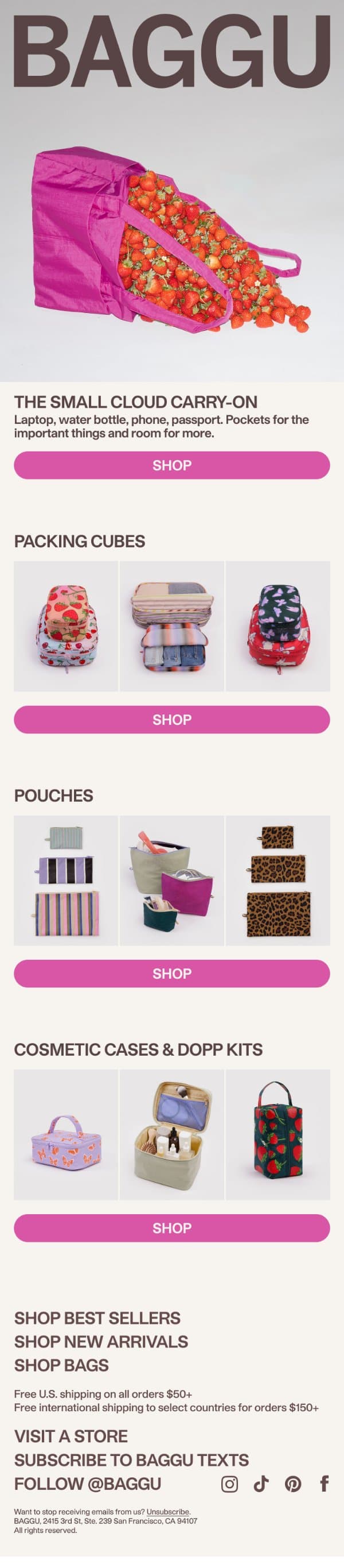 The Small Cloud Carry-On & What Packs Inside email from Baggu screenshot