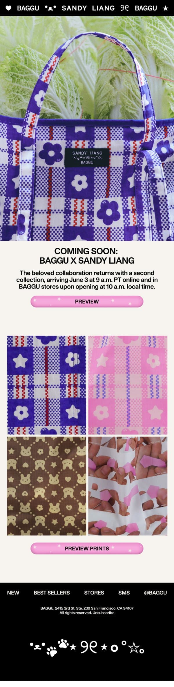 Coming Soon: BAGGU x Sandy Liang email from Baggu screenshot