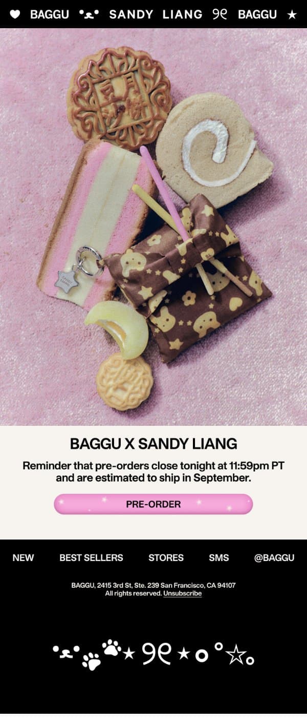 Final Reminder: Pre-Order BAGGU x Sandy Liang email from Baggu screenshot