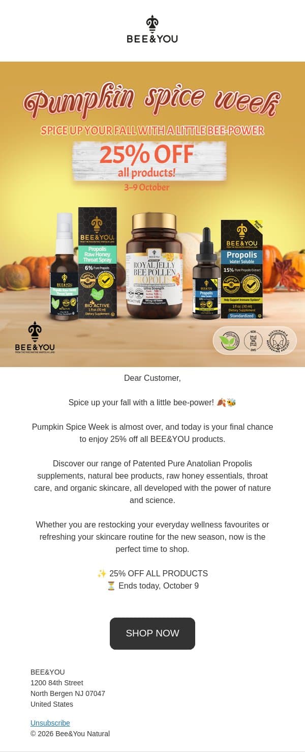 Spice up your fall with a little bee-power 🐝 email from Bee & You screenshot