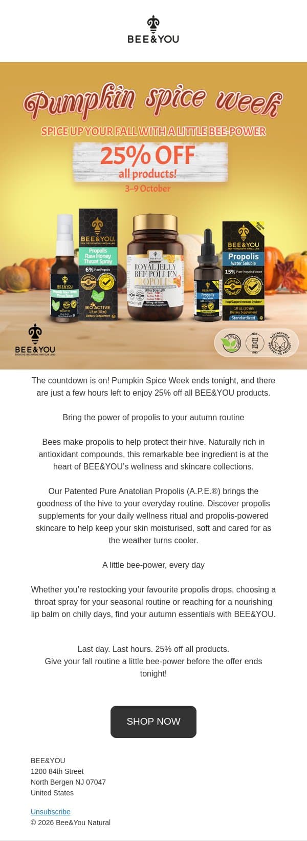 Last day, last hours! ⏰ Spice up your fall with a little bee-power 🐝 email from Bee & You screenshot