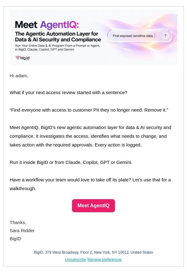 New from BigID: Meet AgentIQ email from BigID screenshot