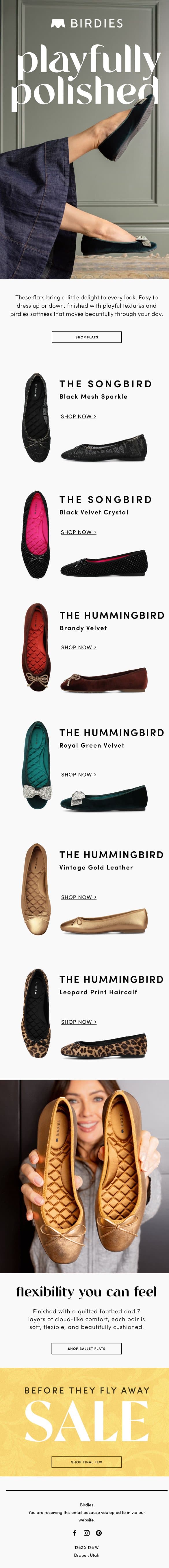 Ready for a new kind of comfort? email from Birdies screenshot
