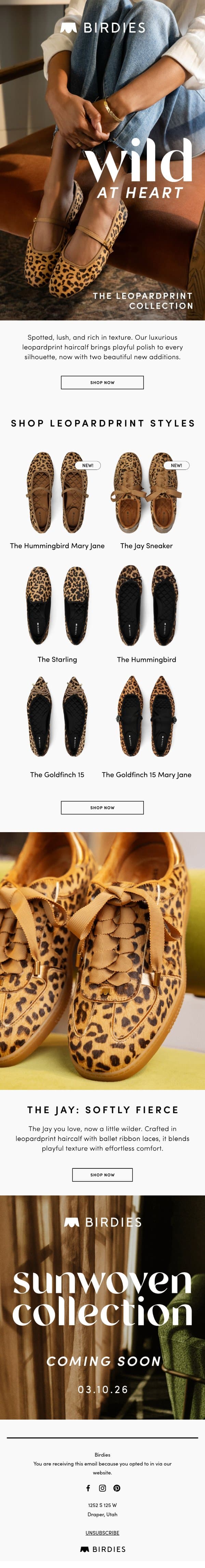 Spotted: your NEW everyday statement 🐆 email from Birdies screenshot