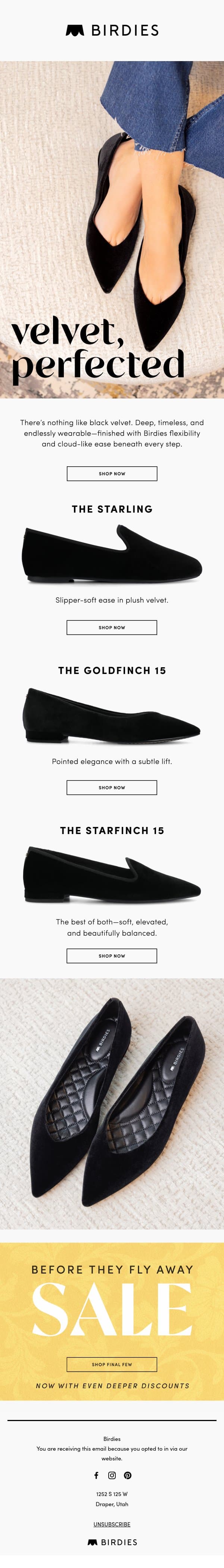 Warning: These Velvet Shoes Might Cause Serious Foot Envy email from Birdies screenshot