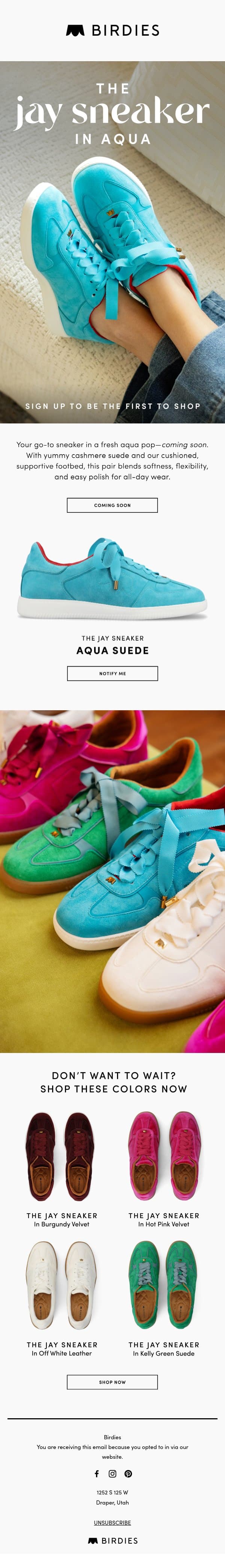 Fresh, Fun, and Aqua-mazing email from Birdies screenshot