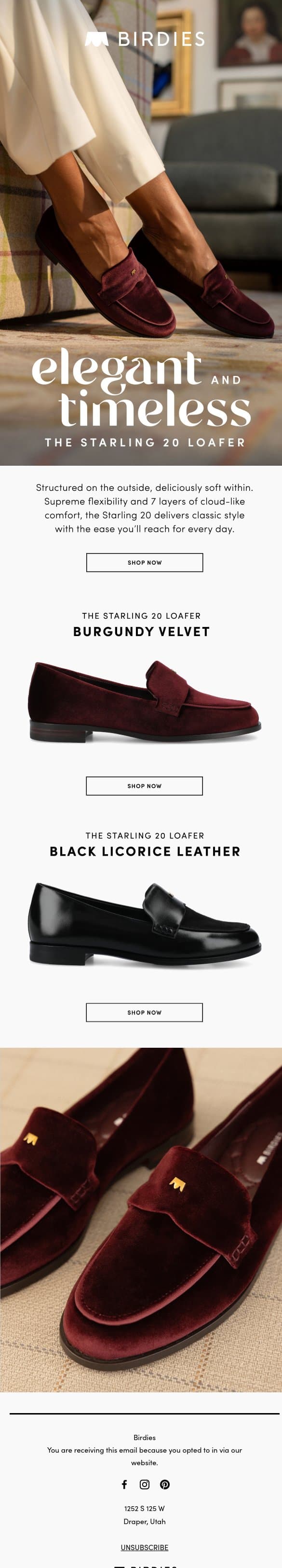 The Ultimate Loafer for Every Occasion email from Birdies screenshot