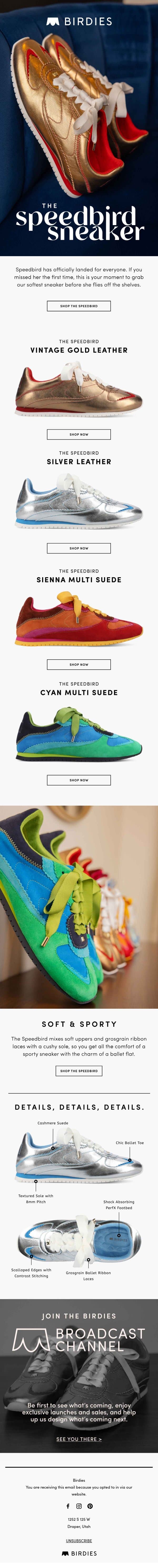 New: Speedbird is here (and flying fast) email from Birdies screenshot