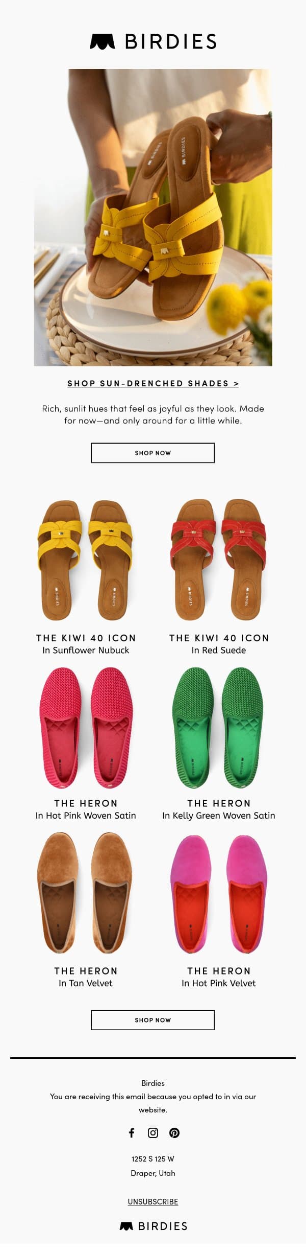 These colors won’t stay put for long email from Birdies screenshot