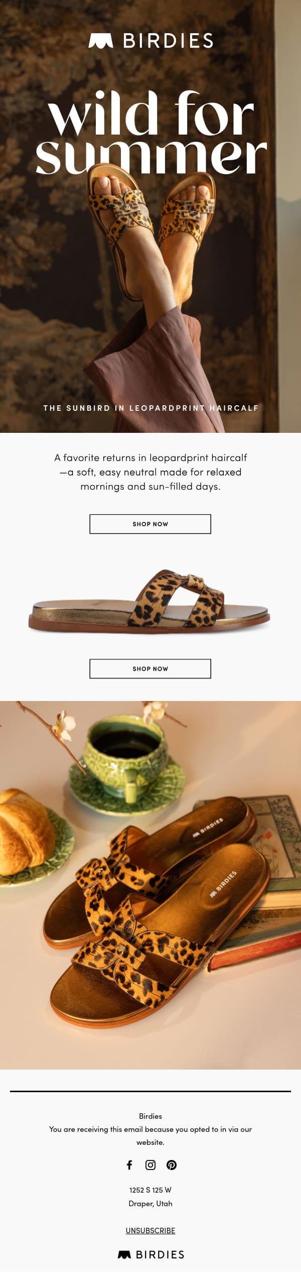 Spot the difference 👀 email from Birdies screenshot
