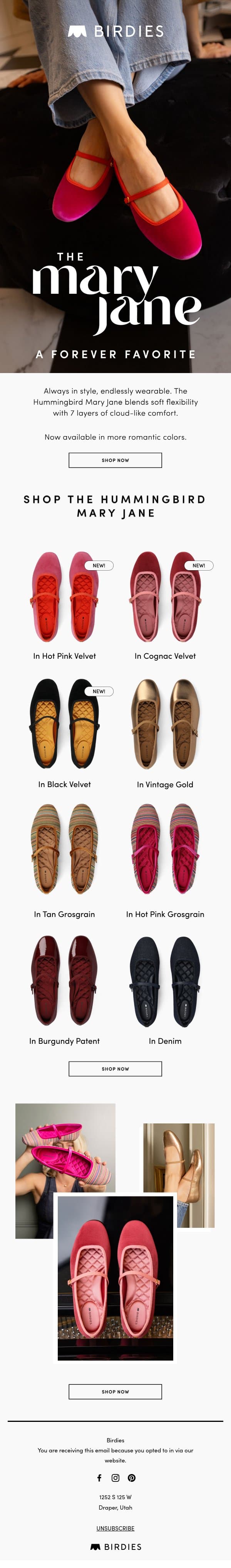 A Forever Favorite, Now in NEW Colors email from Birdies screenshot