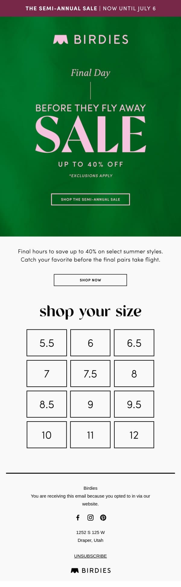 FINAL HOURS to Save Big Before They Fly Away email from Birdies screenshot