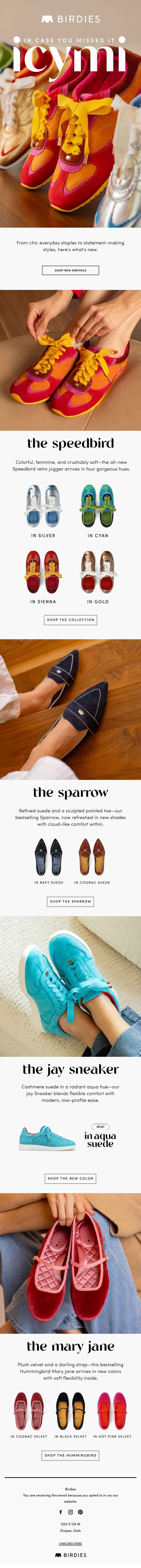ICYMI: The NEW Styles You Need email from Birdies screenshot