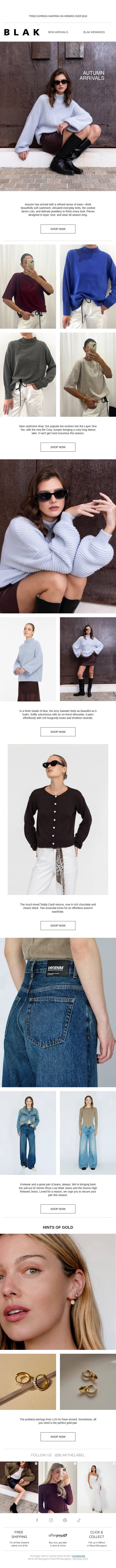 New In: Cashmere, Denim, Jewellery ✨ email from Blak screenshot