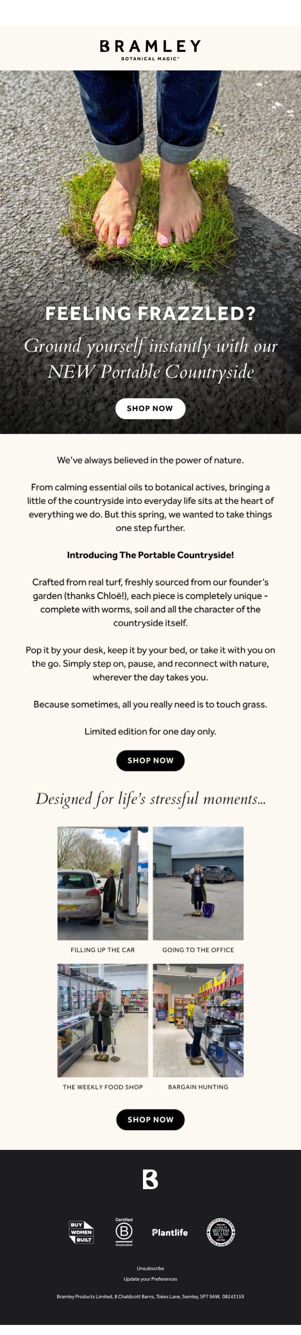 Feeling frazzled? email from Bramley screenshot