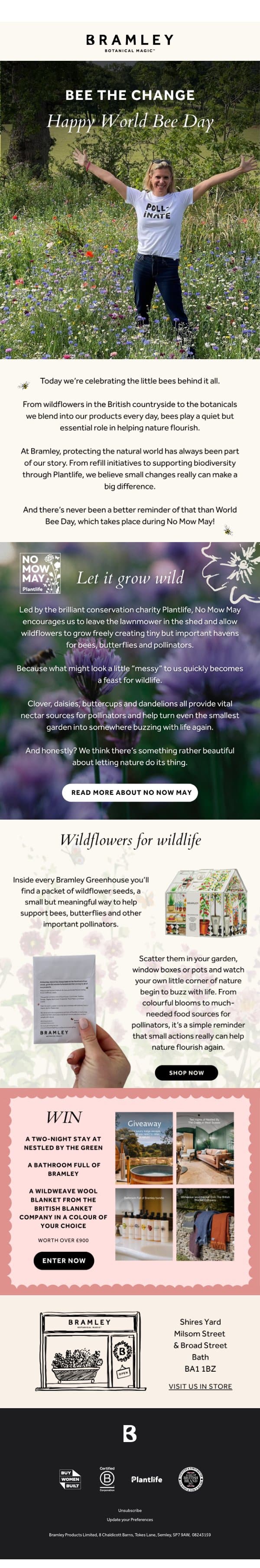A little celebration for World Bee Day 🐝 email from Bramley screenshot