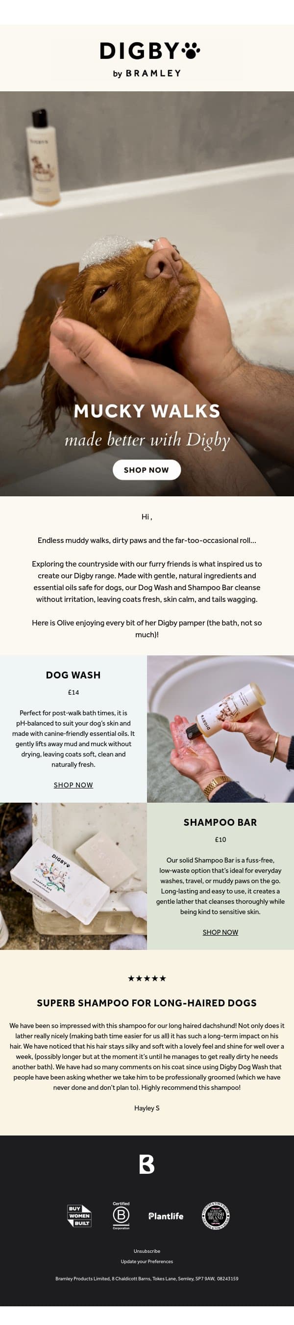 Muddy winter walks made better with Digby 🐶 email from Bramley screenshot