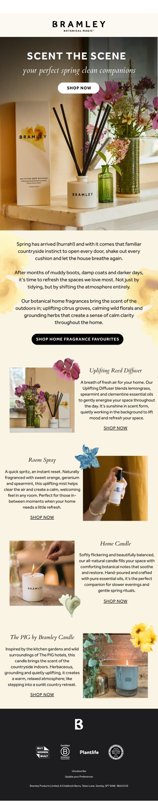 Shake up your spring clean 🌿 email from Bramley screenshot