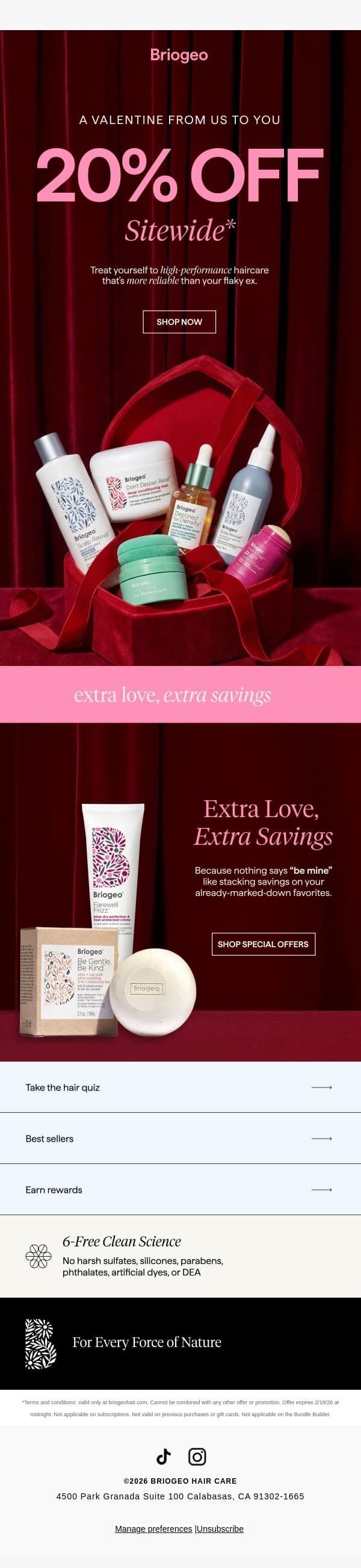 💌A Valentine From Us to You: 20% Off email from Briogeo screenshot