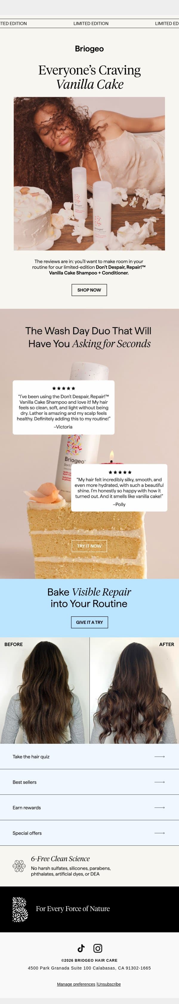Vanilla Cake duo has everyone sweet talking email from Briogeo screenshot