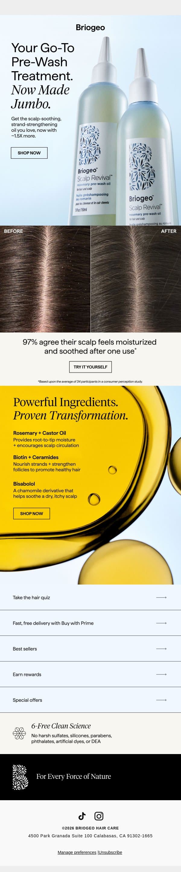 a JUMBO upgrade for your go-to scalp ritual email from Briogeo screenshot