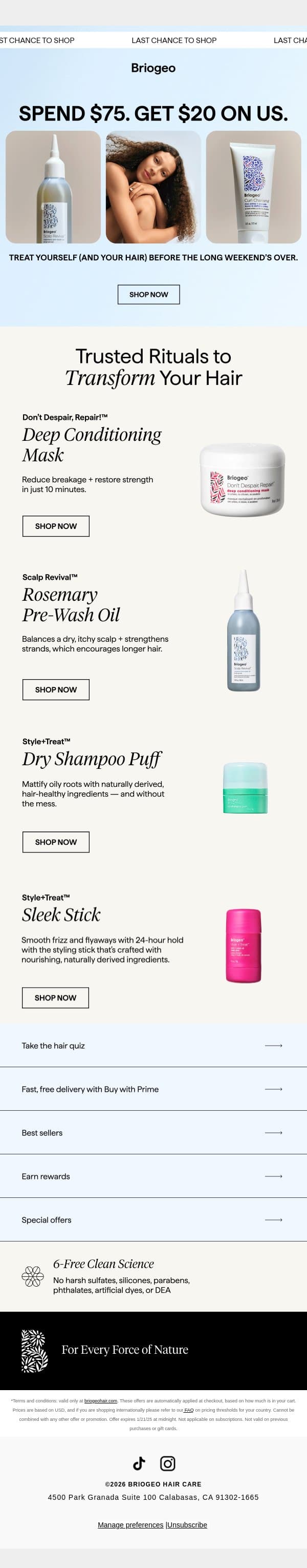 Last chance for $20 off ⌛ email from Briogeo screenshot