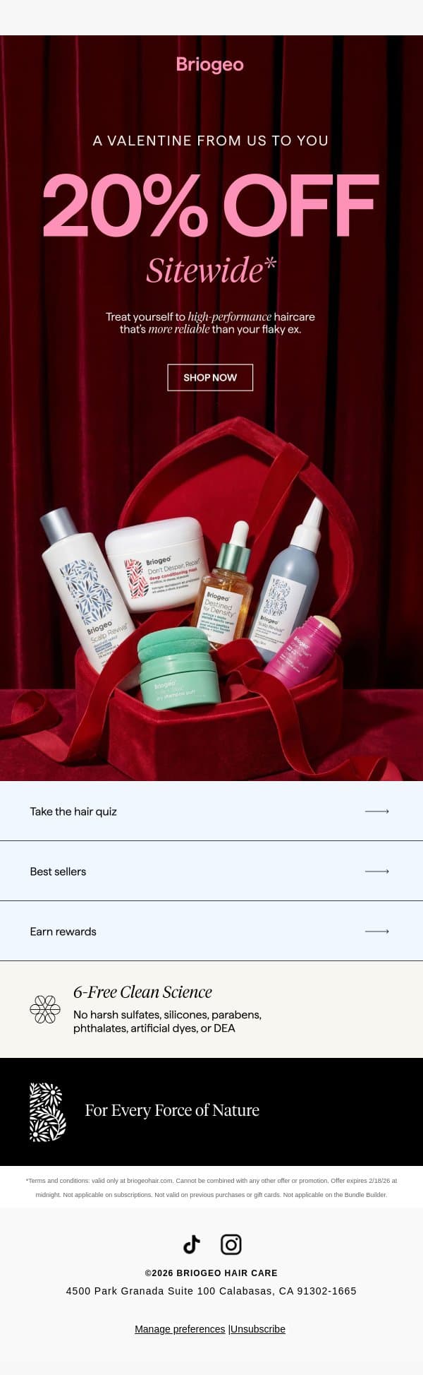 Don’t Ghost This Sale 💔 email from Briogeo screenshot