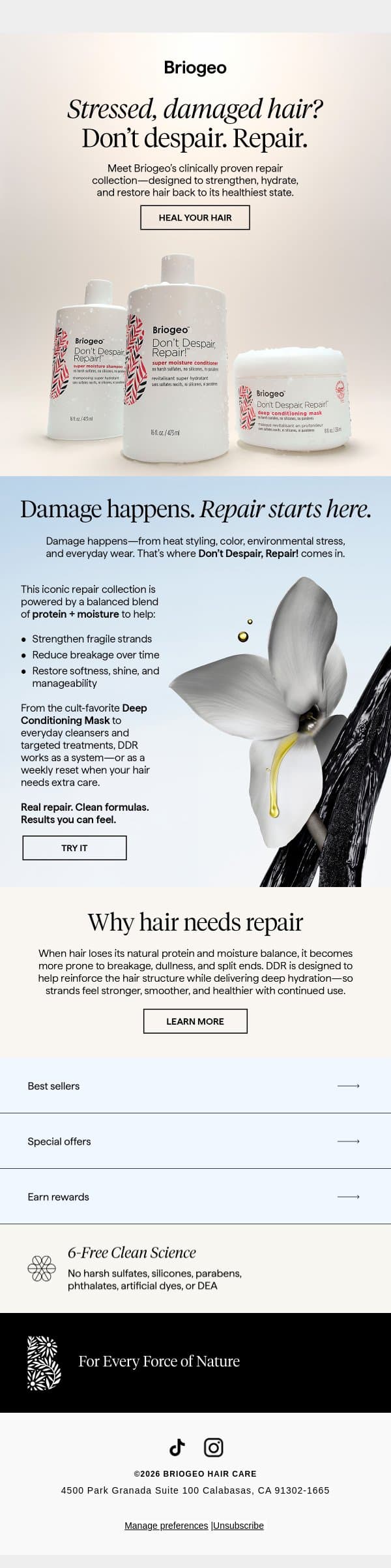 Dry, damaged hair doesn’t stand a chance email from Briogeo screenshot
