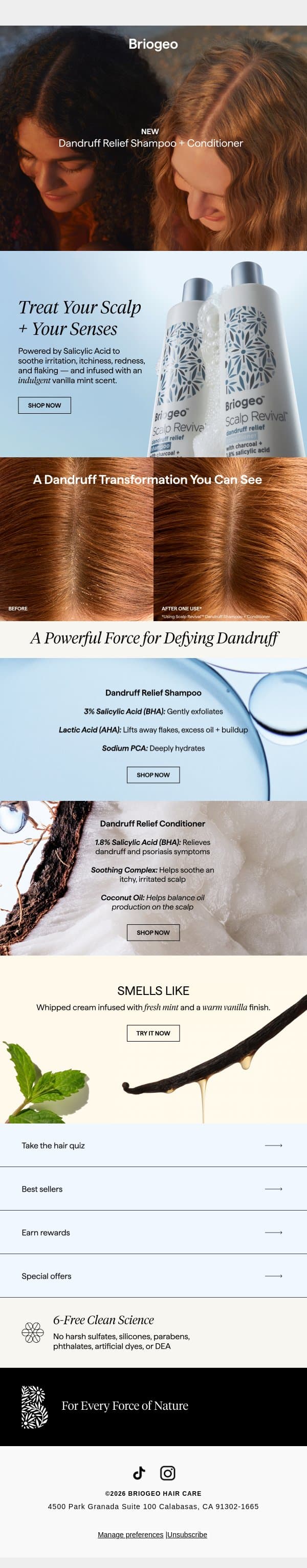 Dandruff relief, but make it indulgent✨ email from Briogeo screenshot
