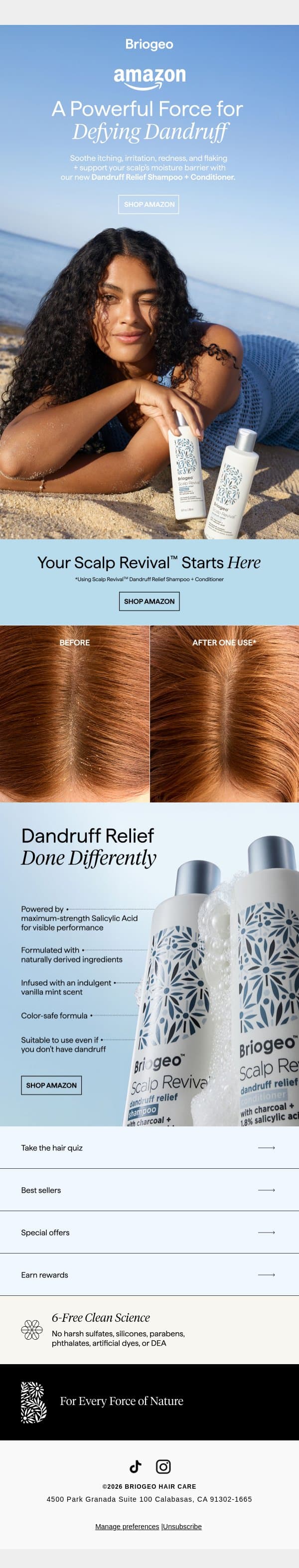 Now on Amazon: A Better Way to Defy Dandruff email from Briogeo screenshot