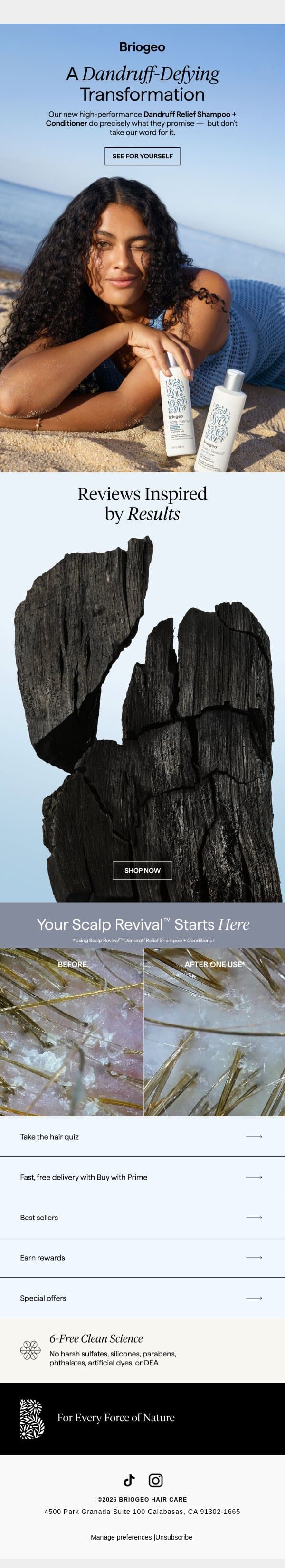 Dandruff relief that has everyone raving email from Briogeo screenshot