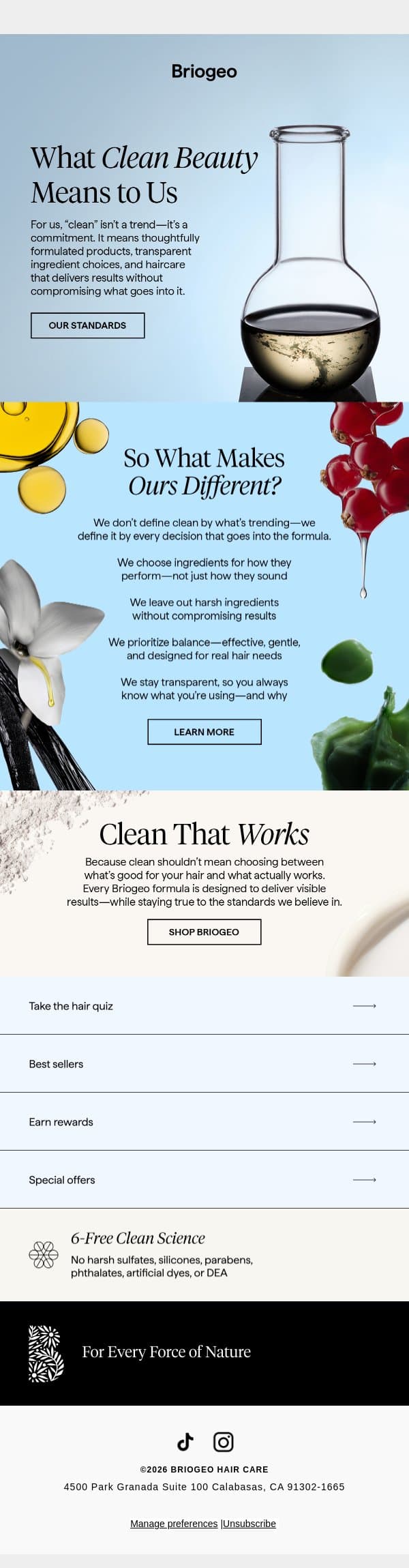 Our Take on Clean Beauty🌱 email from Briogeo screenshot