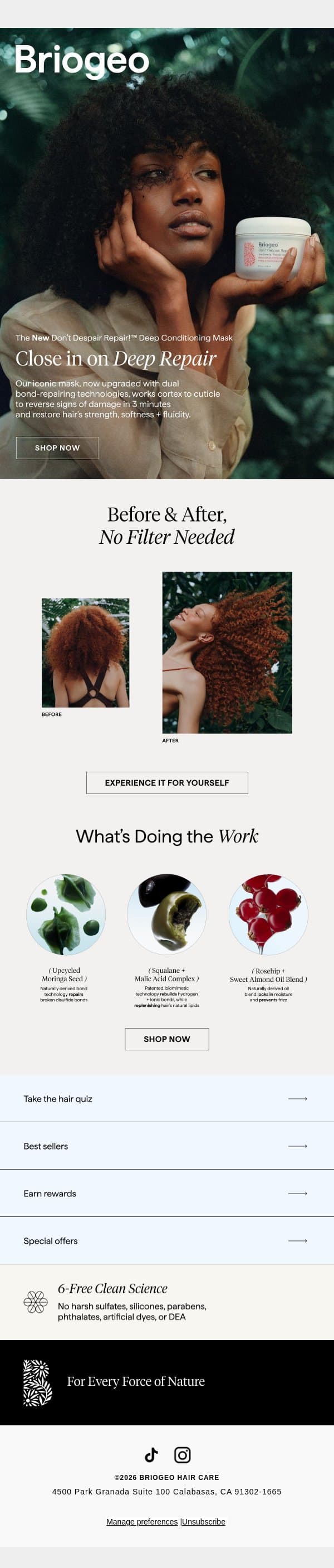 Get to know the new Don’t Despair Repair!™ mask email from Briogeo screenshot