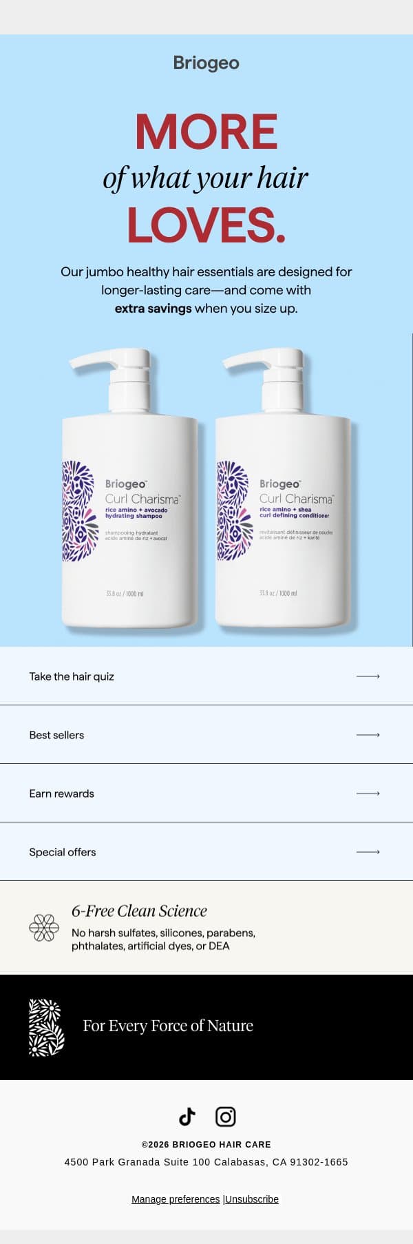 Jumbo savings ✨ email from Briogeo screenshot