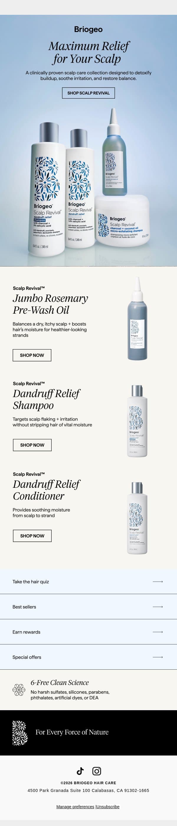 Reset your scalp routine email from Briogeo screenshot