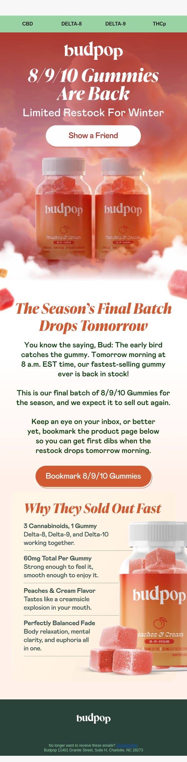 FINAL batch before hibernation 🐻 email from Budpop screenshot