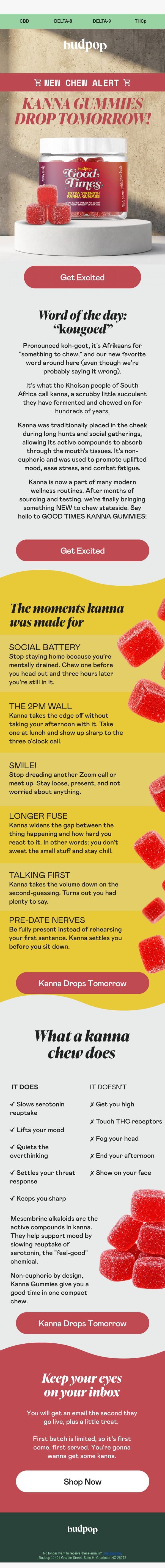 Something NEW to chew 👀 email from Budpop screenshot