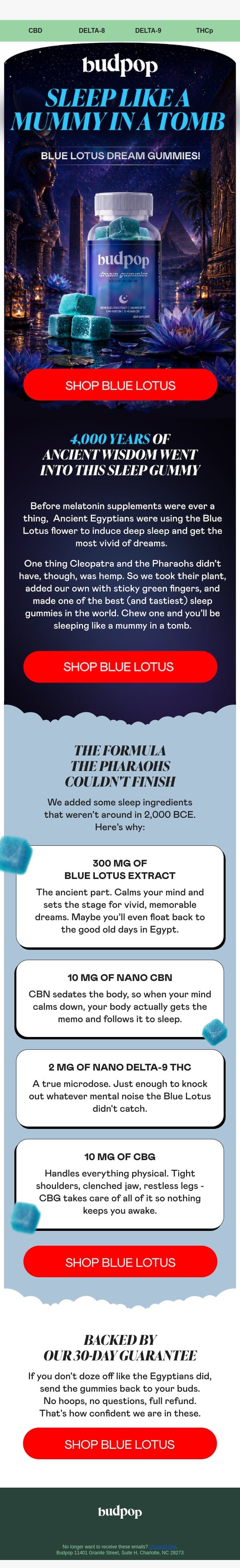 4,000 years of ancient wisdom in one gummy email from Budpop screenshot