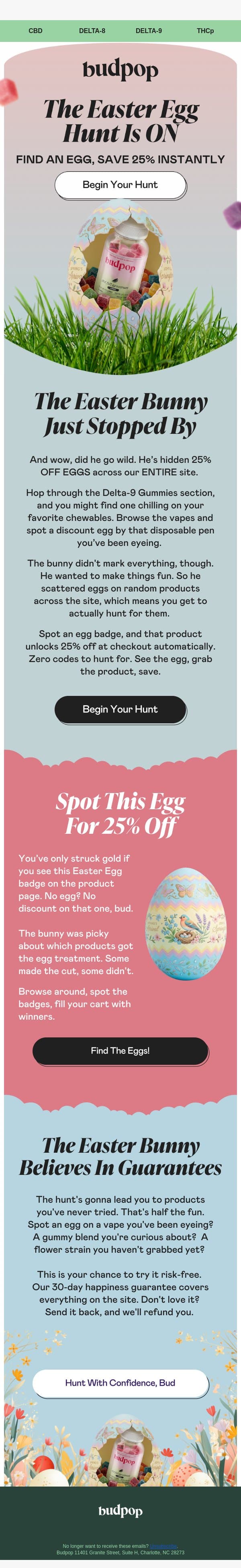 🐇 Guess who popped by? email from Budpop screenshot