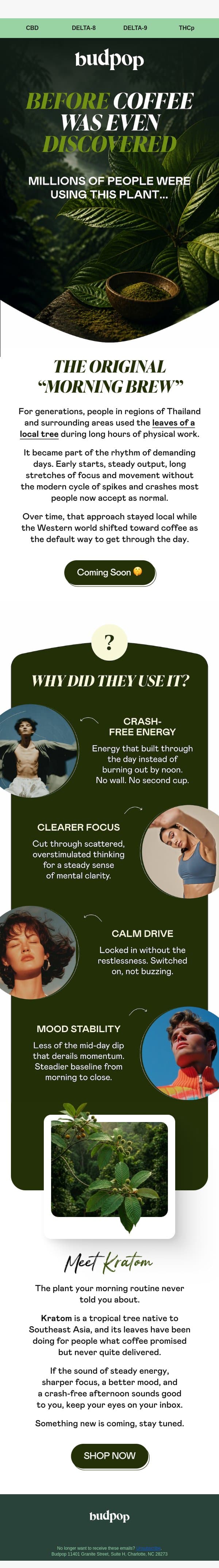The real energy OG (it’s not coffee) email from Budpop screenshot