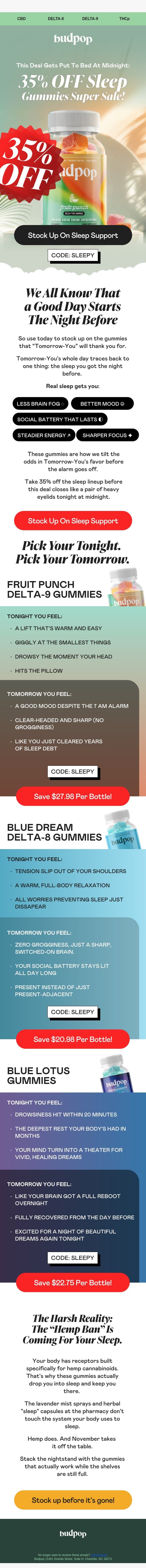 🎁 A gift to your tomorrow self email from Budpop screenshot