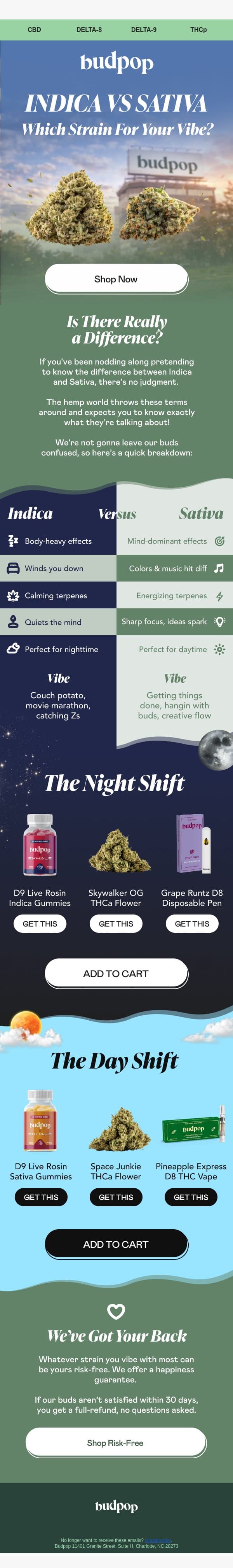Which vibe is for you? ☀️ 🌙 email from Budpop screenshot