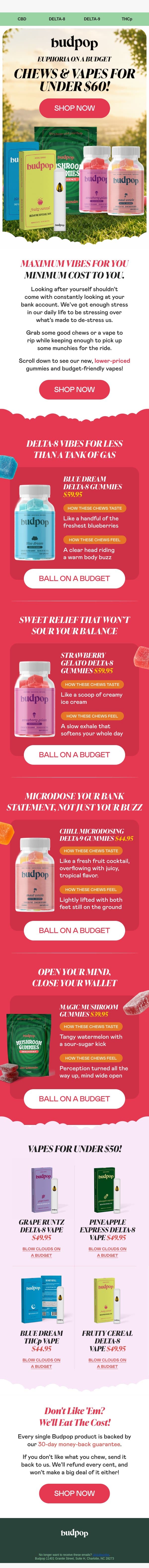 Fun for you and your wallet 🤑 email from Budpop screenshot