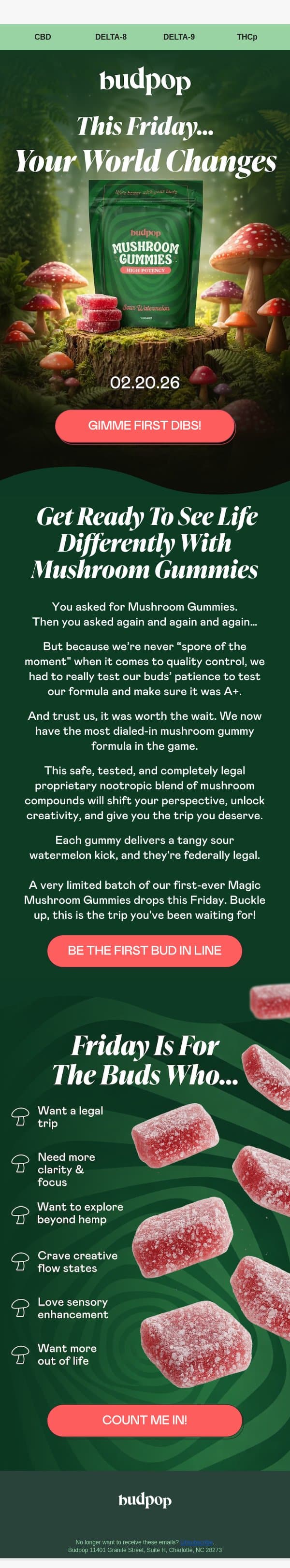Something's growing 🍄 email from Budpop screenshot