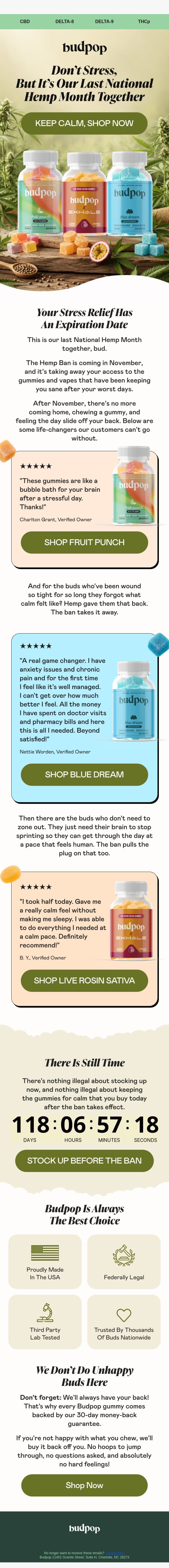 Don't Stress, But… 😬 email from Budpop screenshot