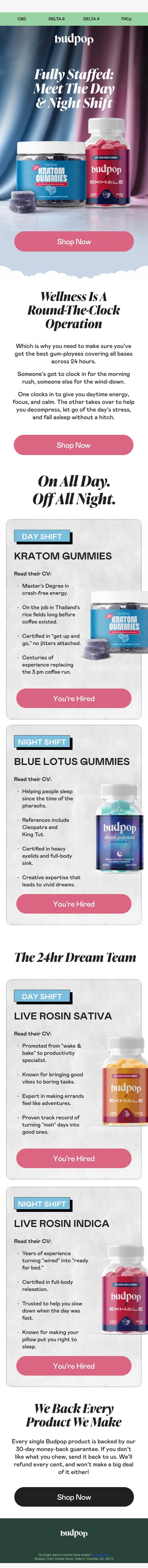 We’re putting together a team ☀️🌙 email from Budpop screenshot