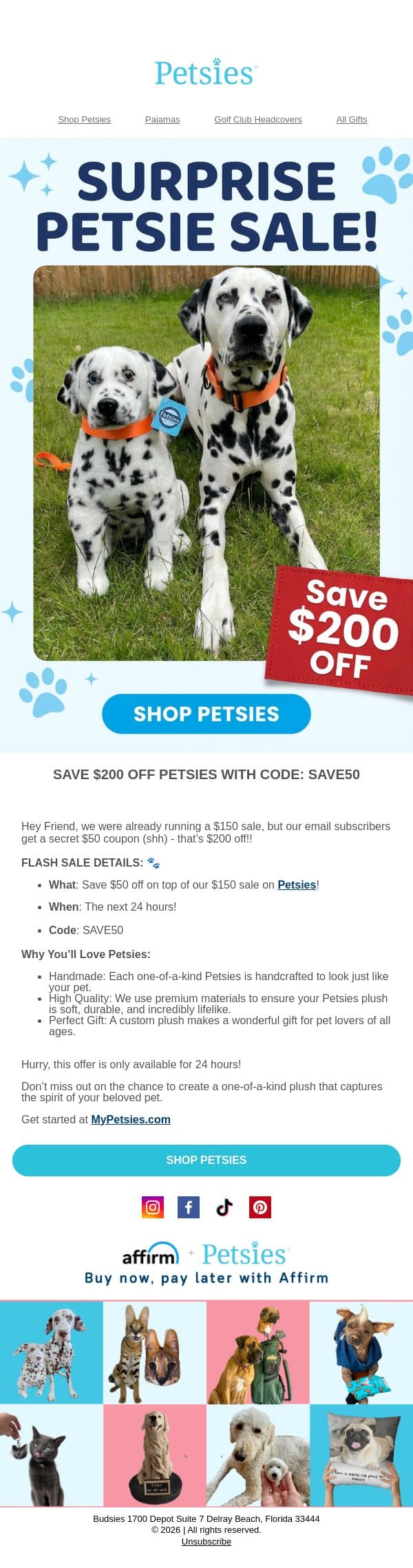 ⏳Countdown: $200 Off Flash Sale Ends Soon! email from Budsies screenshot