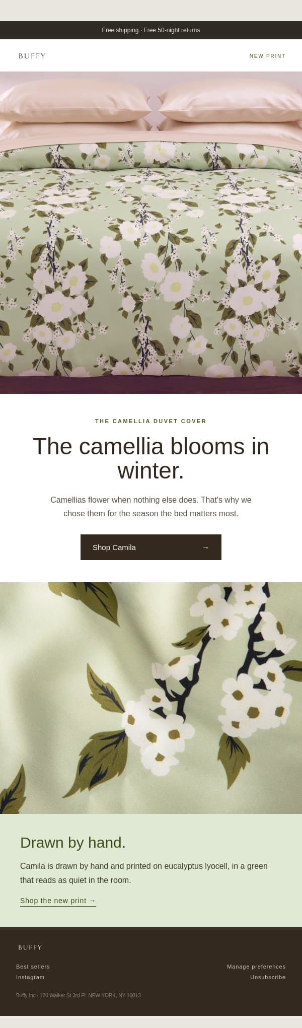 The camellia blooms in winter email from Buffy screenshot