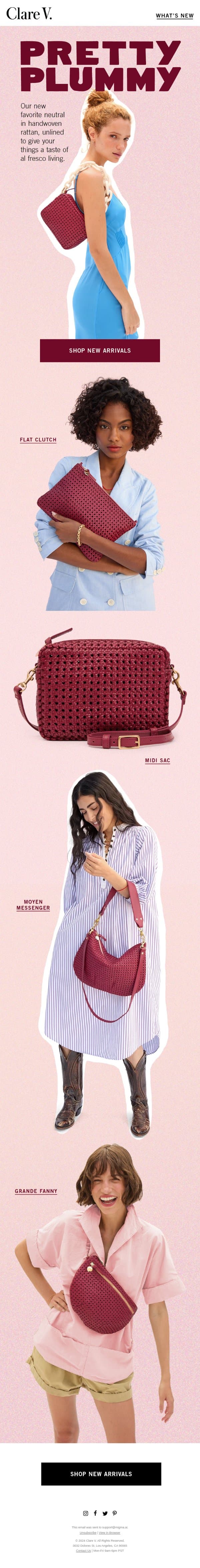 Plum for Spring email from Clare V. screenshot